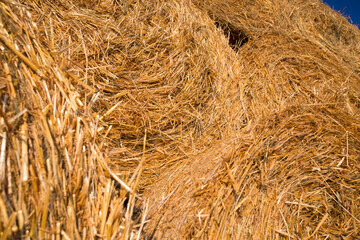 Piled hay bales on a field against blue sky