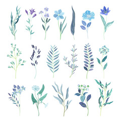 Blue Flower or Delicate Blossom on Leafy Stem Big Vector Set