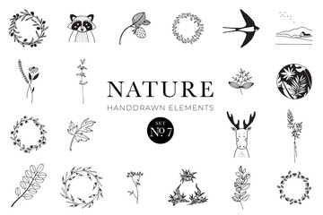 Handdrawn nature elements, Doodle illustrations, Natural drawings