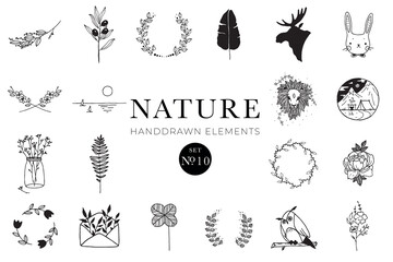 Handdrawn nature elements, Doodle illustrations, Natural drawings