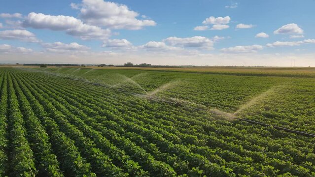 Aerial view drone shot of irrigation system on agricultural soybean field helps to grow plants in the dry season. Landscape rural scene