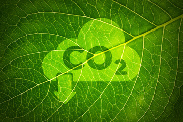 CO2 and Climate change concept on a leaf