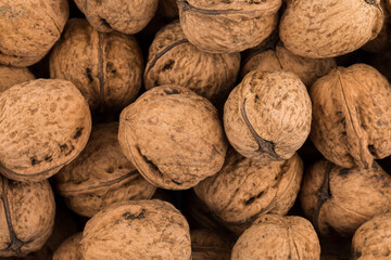 Walnut nut closeup