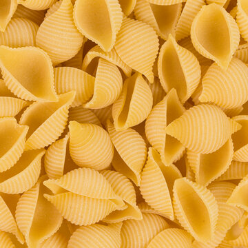 conchiglie pasta shell