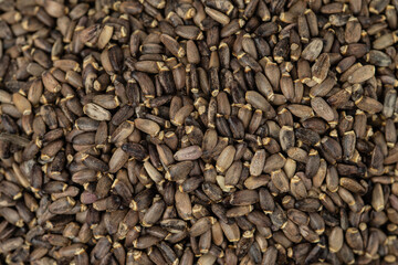 A pile of seeds of milk thistle seeds. The texture of milk thistle seeds. Natural background. Selective focus.
