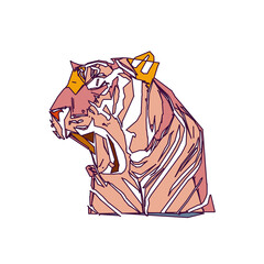 tiger color sketch with edge lines and transparent background