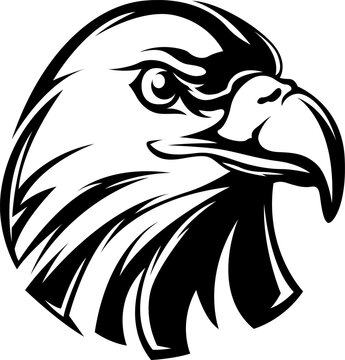 Hand drawn eagle head emblem. Mascot bird. Logo illustration isolated on white.