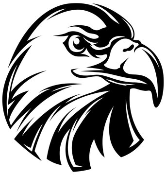 Hand drawn eagle head emblem. Mascot bird. Logo illustration isolated on white.
