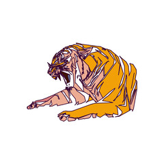 tiger color sketch with edge lines and transparent background