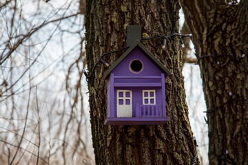 Wooden purple birdhouse on a tree close-up. Shelter for birds.