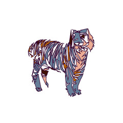 tiger color sketch with edge lines and transparent background