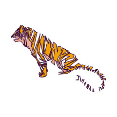 tiger color sketch with edge lines and transparent background
