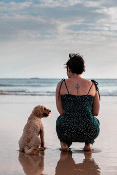 Unrecognizable woman sitting on sandy beach with pet dog near seawater