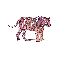 tiger color sketch with edge lines and transparent background