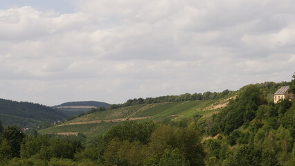 Weinberge oberhalb Waldrach