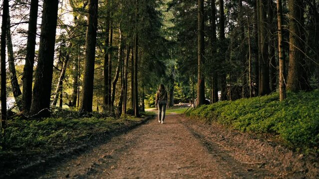 Young woman makes her way home from forest before it gets dark.