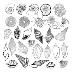 Shells. Hand drawn vector big collection, isolated outline elements on white background. Perfect for decoration, invitation, card, poster and as a design element.