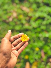 hand holding a flower