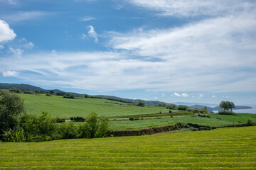 Fototapeta na wymiar Rural landscape with green fields and blue sky with white clouds. Sao Miguel island in the Azores