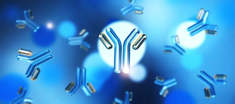 antibody, immunoglobulins, 3d rendering