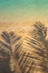 Palm leaves shadow on sand on tropical paradise idyllic beach with clear transparent turquoise water in sunny day. Natural nature background. Copy space