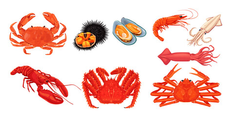 seafood on a white background