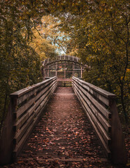 Fototapeta premium wooden bridge in autumn