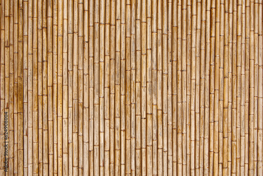 Poster dry bamboo fence texture for pattern and background.