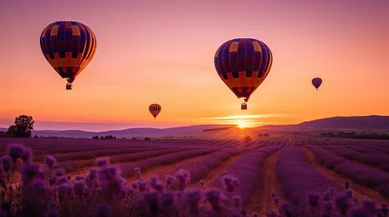 Fototapeten Silhouette of hot air balloons flying over lavender fie © Neo