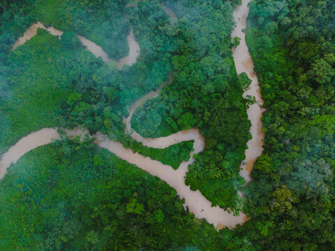 Drone view of green forest and fields with road