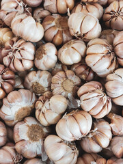 close up of garlic
