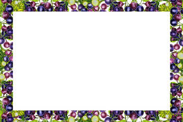 Blackcurrant, frame. Branches with currant berries. Watercolor hand drawn illustration. On a white background. For labels, packaging. For textiles, prints and stickers. For menus, invitation cards.