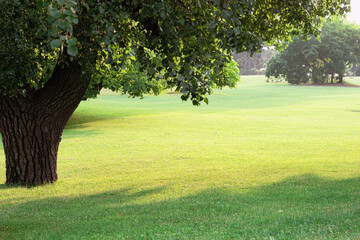 Beautiful landscape in the city park