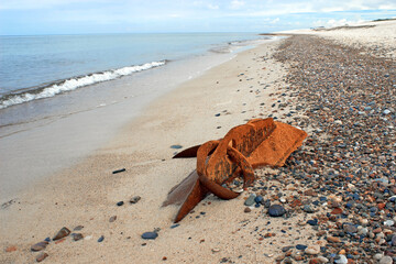 Fototapeta na wymiar Rusty torn piece of ship's side on seashore. Shipwreck fragments on pebbly sandy beach