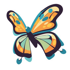 butterfly on white background