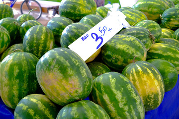 watermelons and melons