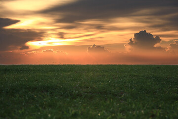 Fototapeta premium Pain Sunlight over Meadow
