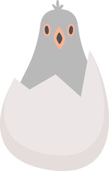 Obraz premium Newborn Pigeon Chick