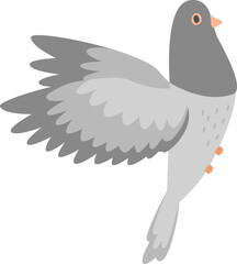 Pigeon Bird Flying