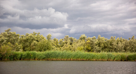 Fototapeta premium Dark clouds above a nature reserve. Beautiful colors due to the weather.