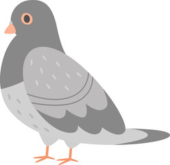 Pigeon Bird Standing