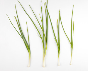 Green chives laid out in a row on a white background, top view.