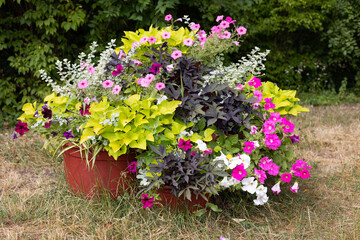 Flower bed in the garden