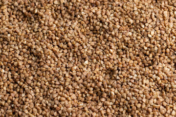 A large amount of harvested buckwheat