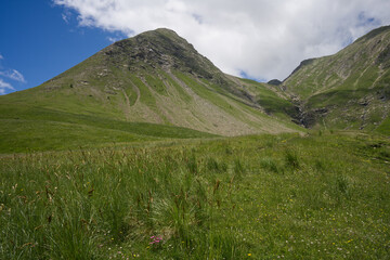 Scenery of the Source of Verdon in the Val d'Allos, France