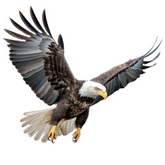 Obraz premium a Bald Eagle (Haliaeetus leucocephalus) in flight, 3/4 view, American Icon of Freedom in a Nature-themed, photorealistic illustration in a PNG, cutout, and isolated. Generative AI