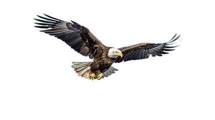 Fototapeta premium a Bald Eagle (Haliaeetus leucocephalus) in flight, full body 3/4 view in a Wildlife-themed, photorealistic illustration in a PNG format, cutout, and isolated: Generative AI