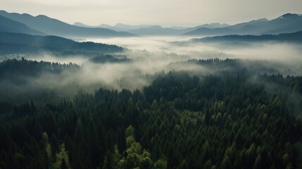 Naklejka premium Misty foggy mountain landscape with forest. Generative AI