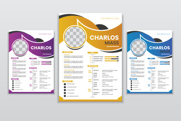 Clean Resume Templates design