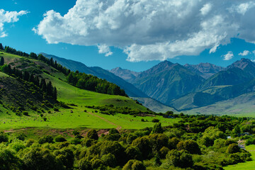 Picturesque mountain landscape in summer